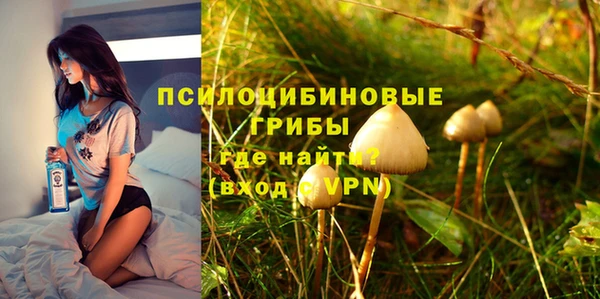 ECSTASY Рославль